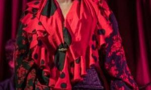 Show Flamenco en Malaga - Alegría