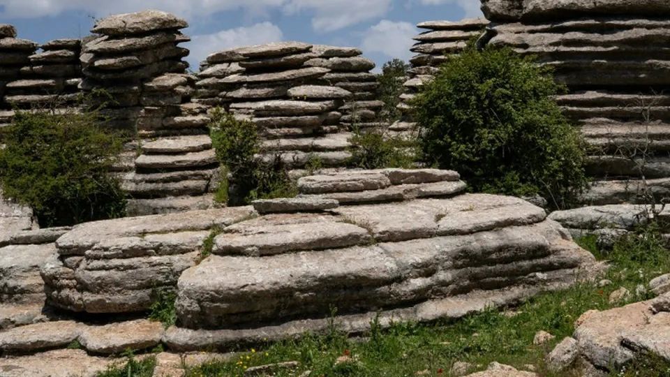Excursión de un día