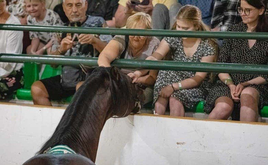 Espectáculo ecuestre en El Ranchito