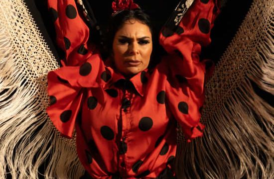 Flamenco Auténtico en El Gallo Ronco
