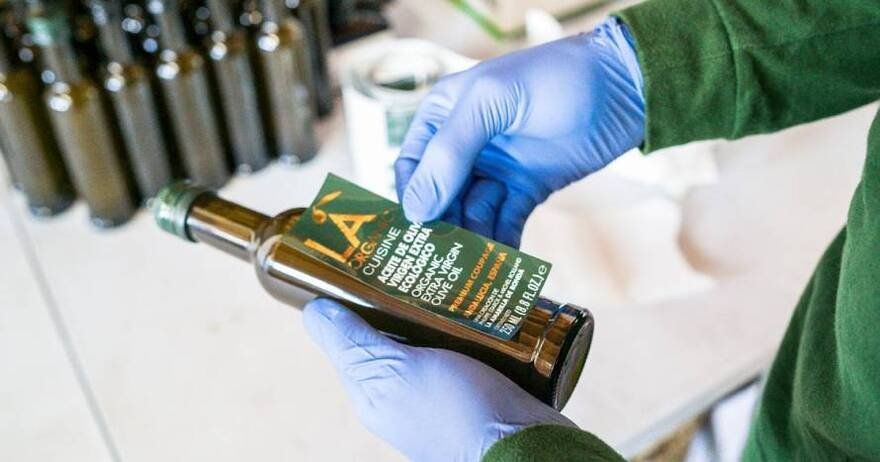 Ronda y cata de aceite: excursión en grupos pequeños desde Málaga