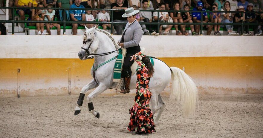 Espectáculo ecuestre y flamenco en Málaga