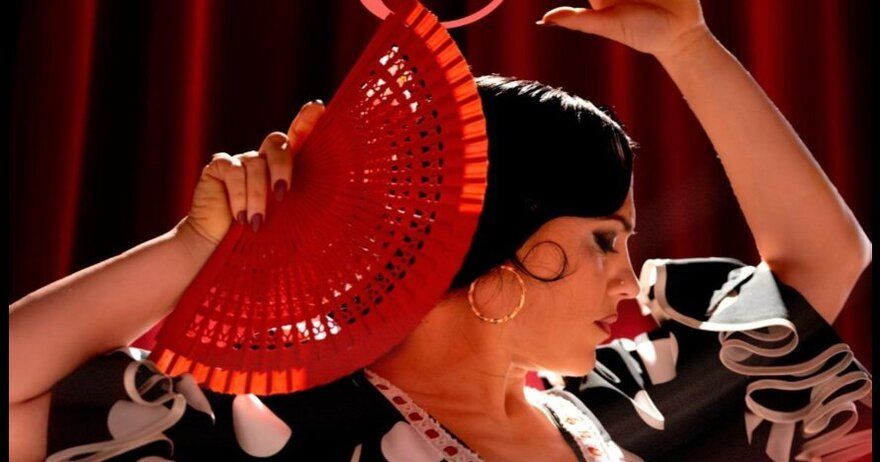 Show Flamenco en Malaga - Alegría
