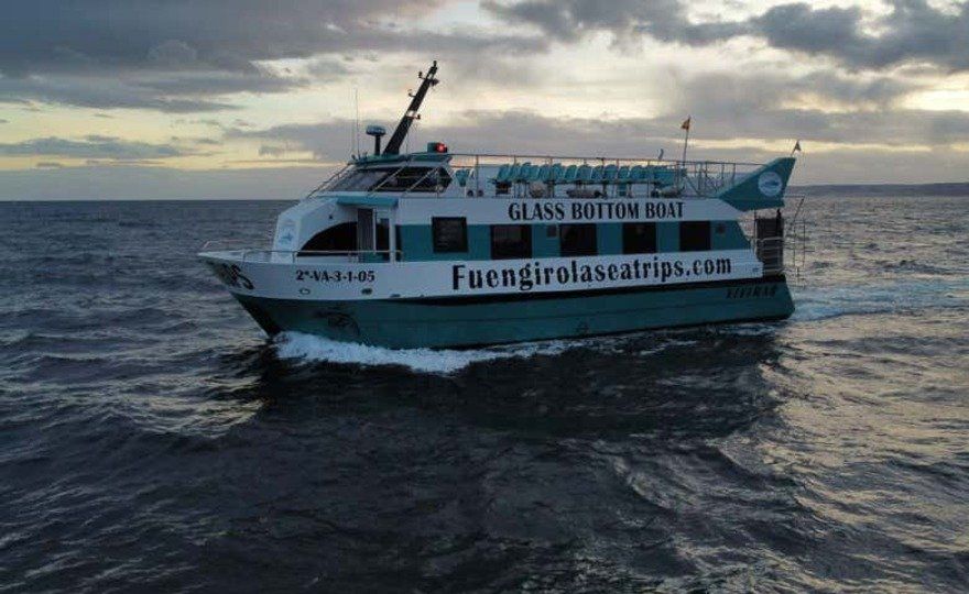 Avistamiento de delfines en Fuengirola