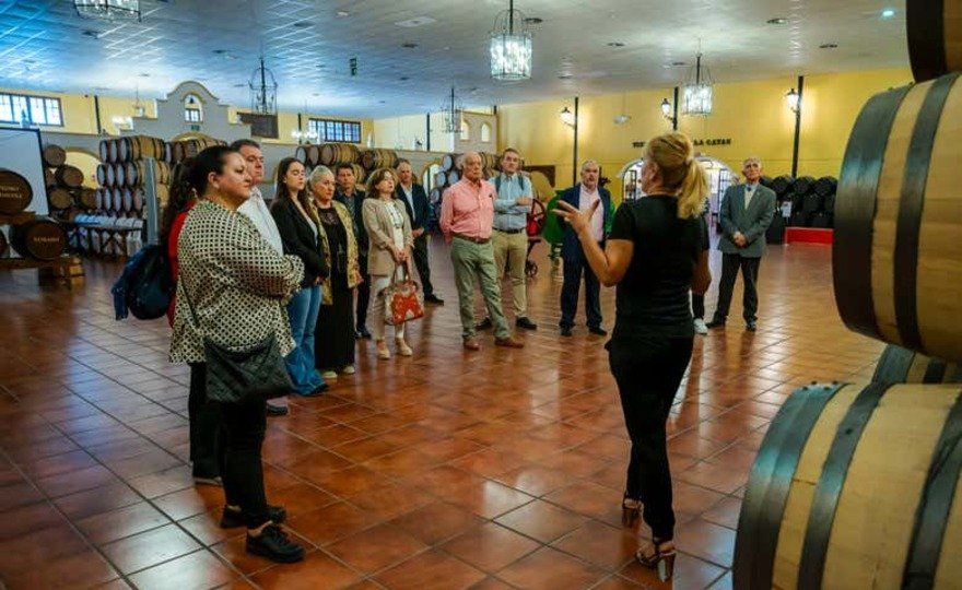 Visita a las Bodegas Quitapenas