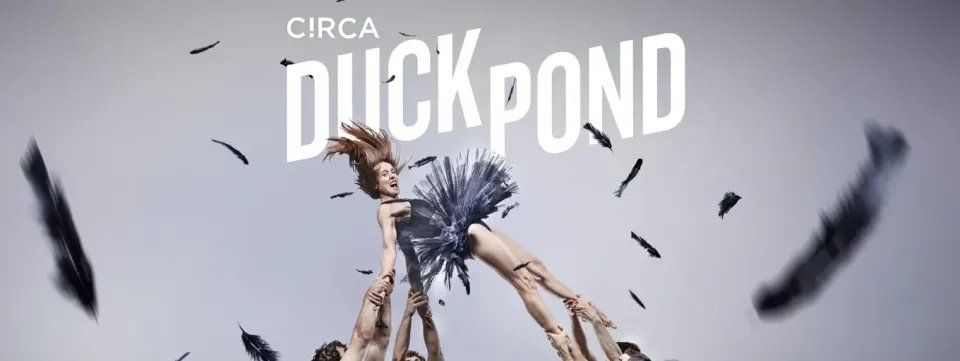 Circa Duck Pond