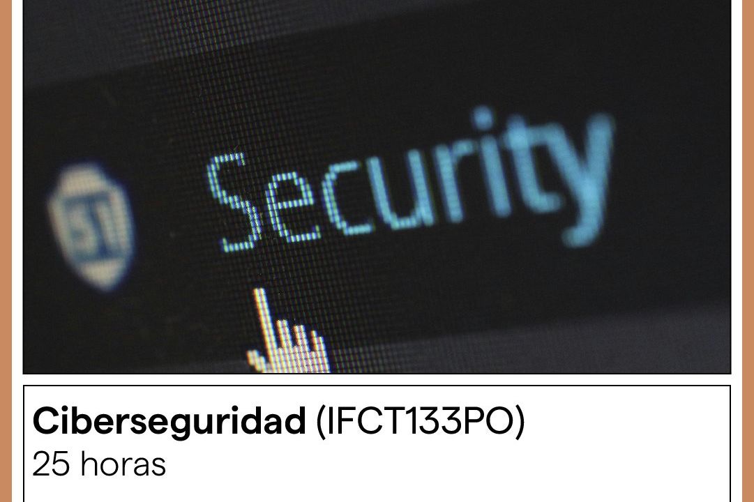 Formación online en ciberseguridad (IFCT133PO)